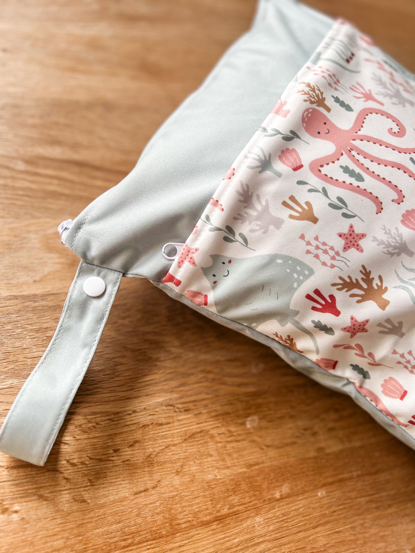 Saltwater Wet/Dry Bag