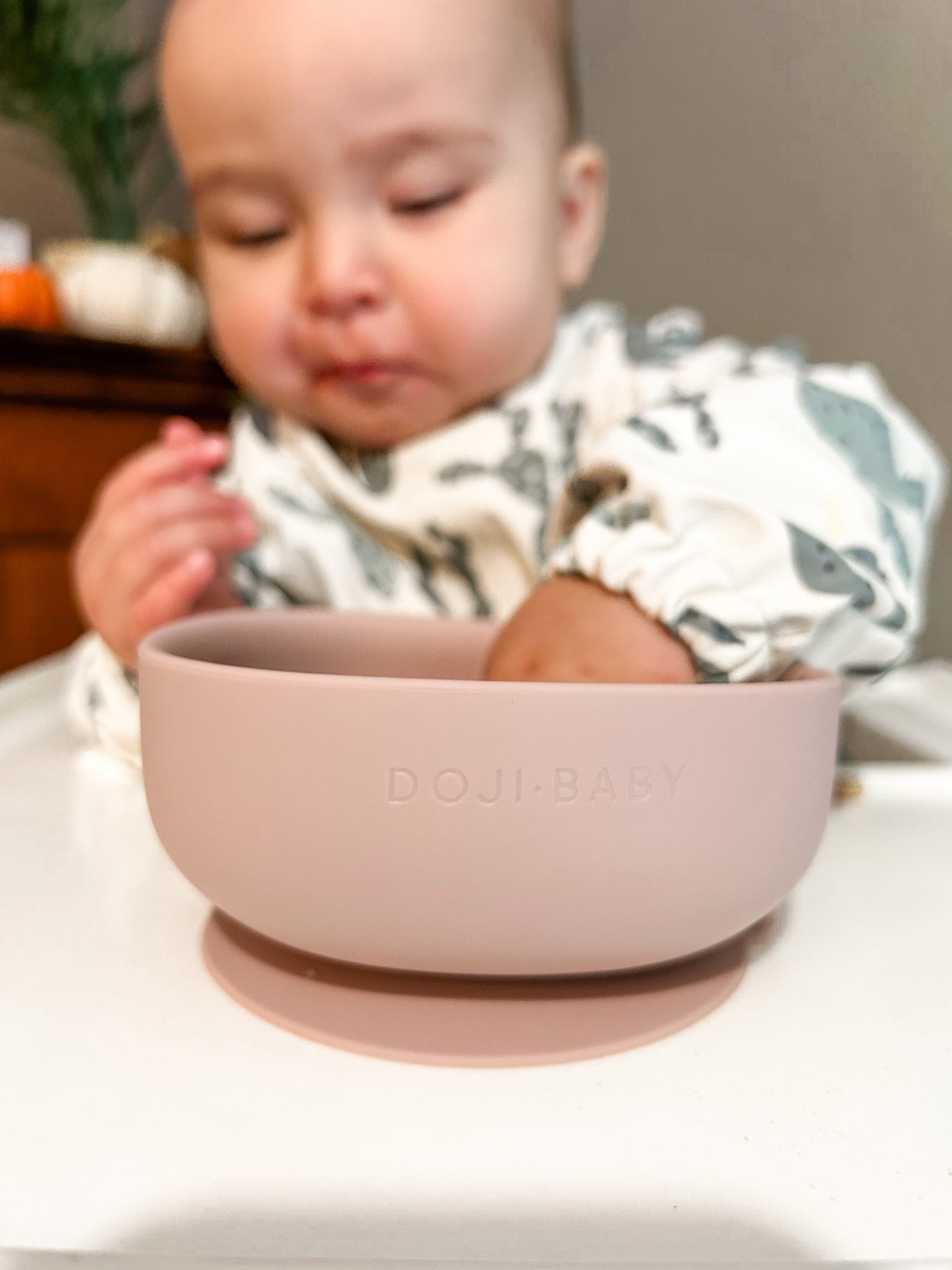 Silicone Bowl
